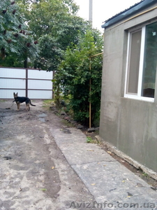 Продам род в Харькове Валковский район село Шаровка #1156325