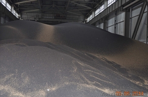 Погрузка зерна в контейнера #1168893