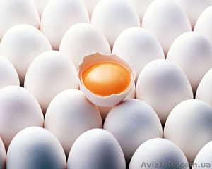 Продам меланж яичный #1157066