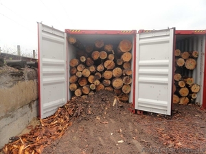 Погрузка леса в контейнера #1168597