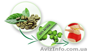 Зеленый кофе для стройной фигуры #1156873