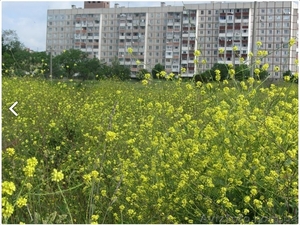 СРОЧНО ПРОДАМ хорошую 3-комнатную квартиру #1160249