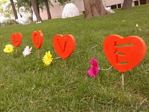 Декоратор фотосессий. Курсы в Николаеве. #1159009