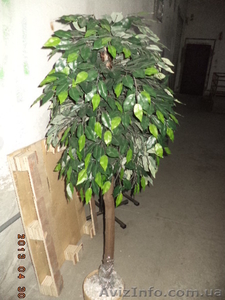 Деревья декоративные б/у #1160944