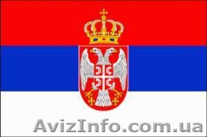 Сербский. Курсы в Николаеве #1154688