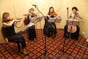 Струнный квартет. Музыка на праздник.  #964188