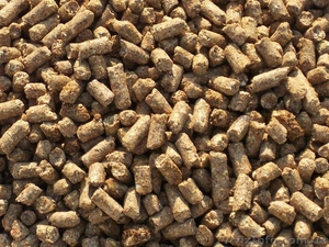 Продажа комбикорма для животных,  птицы и рыбы #1160932