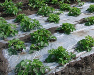 Производство полиэтиленовой плёнки #1166561