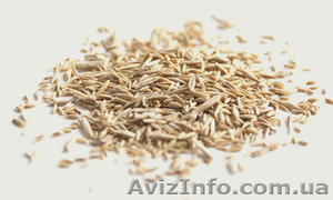 Продам семена газонной травы,  состав Универсальный #1154560