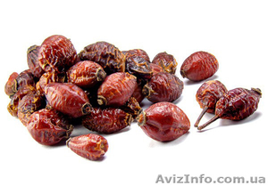 Продам шиповник сушеный.  #1167161