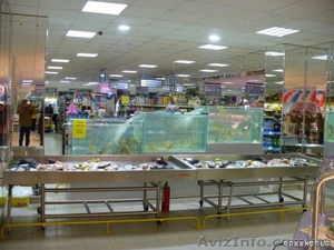 Торговые Аквариумы Витрина Рыба на льду 0984576969 #1160581