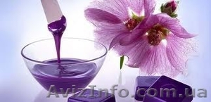 Обучение курс «Восковая эпиляция»,  «Бикини-дизайн» #1172121