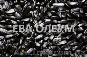 Услуги по сушке зерновых и бобовых культур #1171646