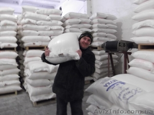 Грузчики Киев и Киевская обл. #1177017