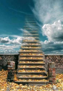 Возьму в аренду помещение #1173435