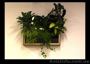 Озеленение интерьера #1177853