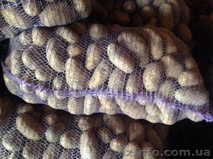 Продам отборный картофель,  с доставкой,  звони! #1181132