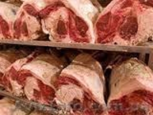 Камера для хранения и заморозки продуктов питания,  Харьков. #1174215