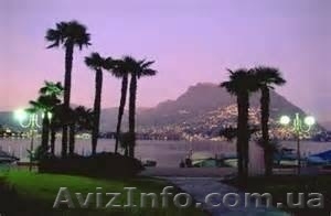 ГОРИТ!!!!! ЕГИПЕТ!!!! #1178130