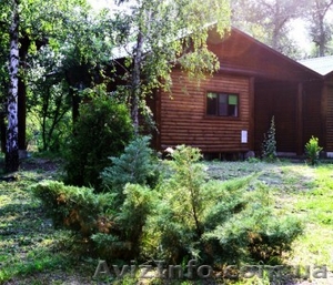 Экологический отдых на базе отдыха Орельский Двор. #1182104