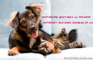 Зоотовары, ветпрепараты опт розница Запорожье, Украина недорого #1177516