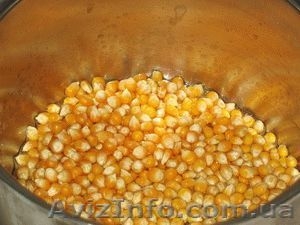 Кукуруза  для приготовления поп-корна #1178464
