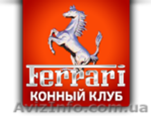 Обучение верховой езде #1175685