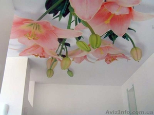 Фотопечать на натяжных потолках Донецк,  Макеевка.  #1198474