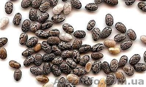 Семена Чиа здоровое питание #1191154