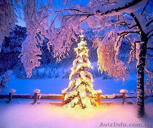 Старый Новый год + фестиваль «Червене вино - 2015» #1188316