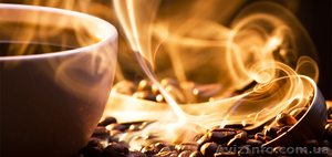 Зеленый и черный кофе (молотый,  зерновой,  сублимированный) #1191920