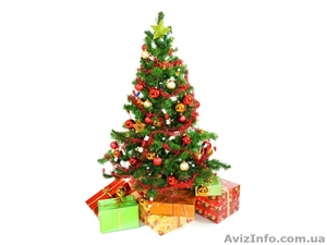 Продам сосны оптом #1185905