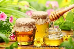 Продам – Мёд из домашней пасеки – Скидки % #1190380