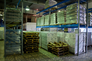 Быстро сдам в аренду помещение разной площади Пушкинская #1185713