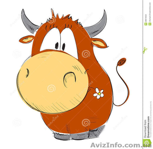 Куплю крс,  коней                                                       #1191410