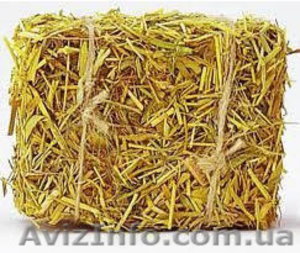 Солома проса в тюках #1187655