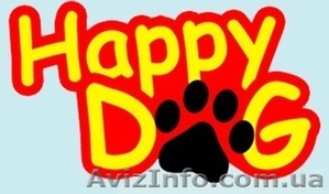 Одежда для собак,  Обувь для собак #1201823