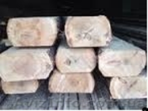 Потребность предприятия лпаха (двухкантный брус),  кругляк тонкомер #1211913