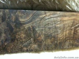 Дуб ясень орех  #1210498