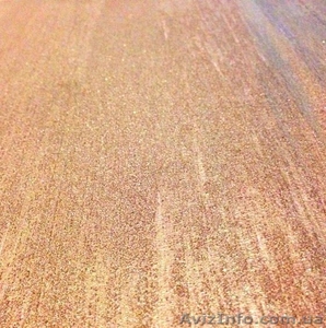 Продажа декоративных штукатурок с последующим нанесением Харьков #1206439