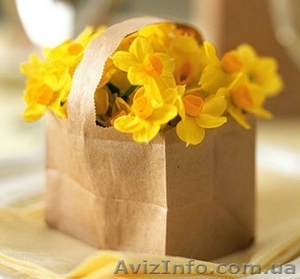 Тюльпаны в горшочках к 8 марта #1209018