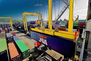 Электронное таможенное декларирование #1203130