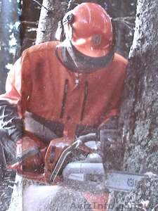 обрезка спил деревьев.полтава  #1211557