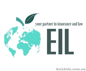 Качественные страховые услуги #1200287