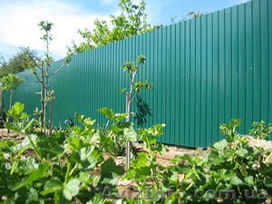 Забор из профнастила Севастополь. #1207635