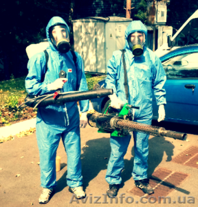 Дезинсекция,  дератизация #1209220