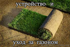 Устройство газона, посевной и рулонный газон  #420605