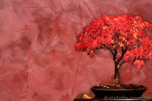 Продажа и нанесение декоративных штукатурок Харьков! #1217074