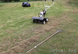 Вычесывание газона,  аэрация газона #855792