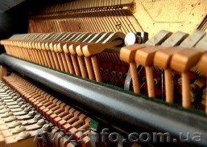 Настройка фортепиано #1216809